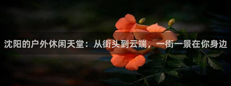 利记网官网网址