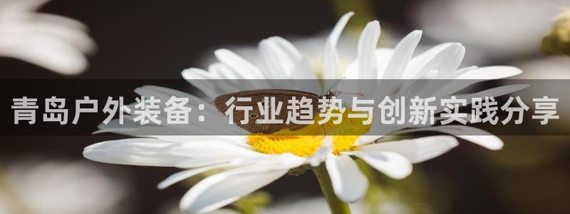 利记足球官网