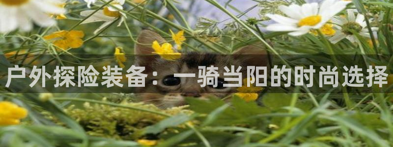 利记坊官网注册