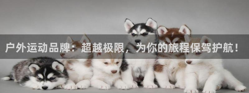 万利记官网电话