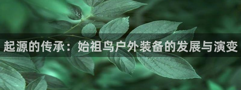 利记娱乐网唯一官网