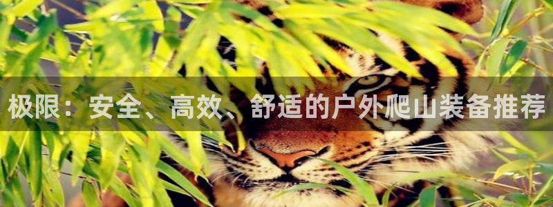 利记现场官网