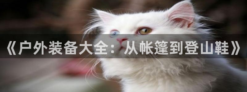 利记坊官网注册账号