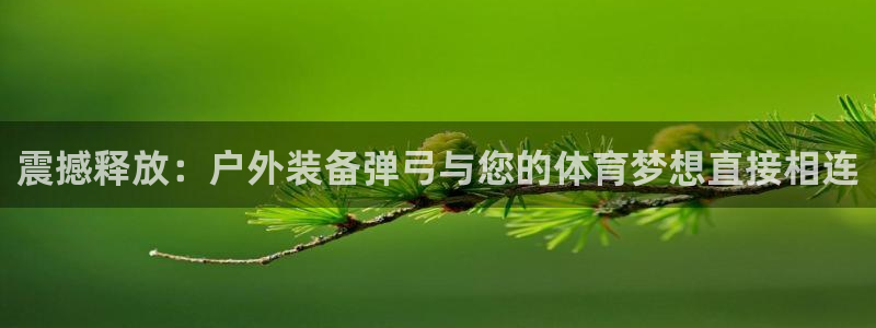 利记官网电脑版