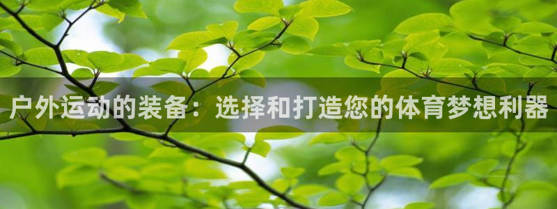 利记手机官网银河网