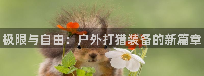 利记官网开户