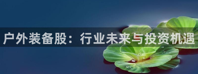 利记体育平台官网
