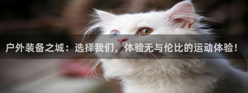 利记体育app官网