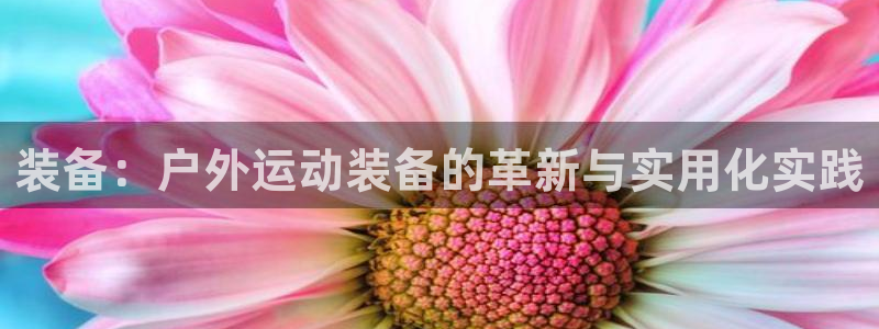 利记手机官网bb电子平台官方
