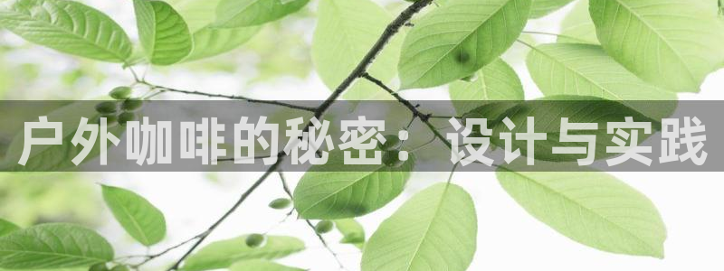 利记手机官网银河网