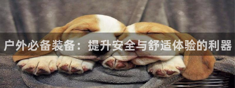 利记官网