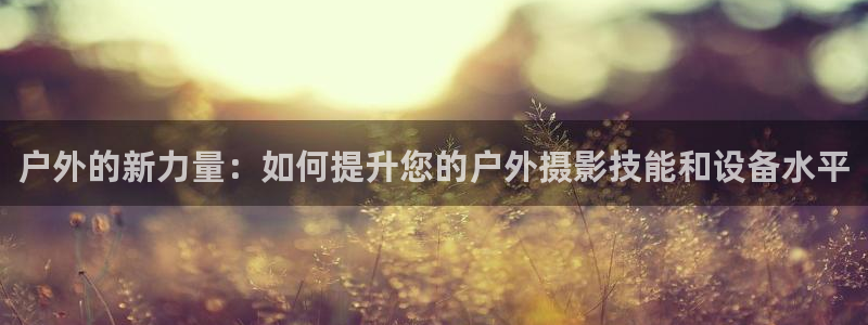 利记国际官网