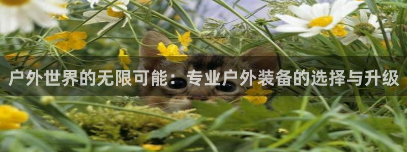 利记官网官方网址