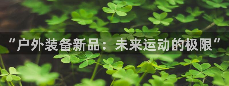 利记彩票官网wx678 com