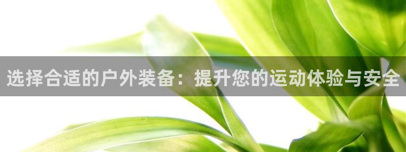 万利记官方旗舰店官网