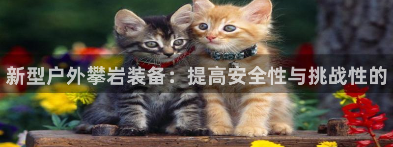 利记国际有限公司官网