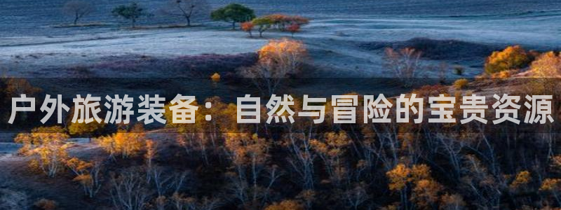 利记官网日亚运比