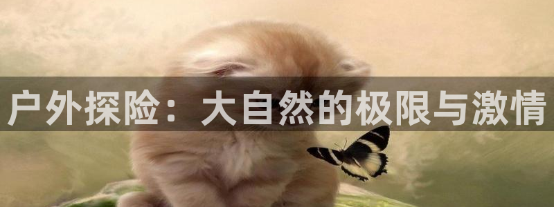 利记广告联盟官网