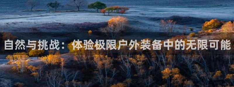 利记网址注册官网