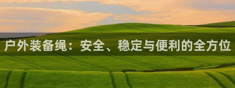 万利记官方旗舰店官网