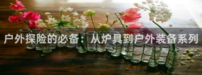 香港利记集团官网招聘