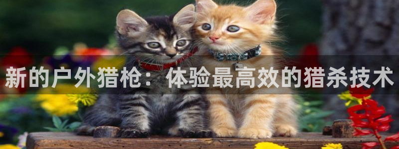 利记厨具官网售后