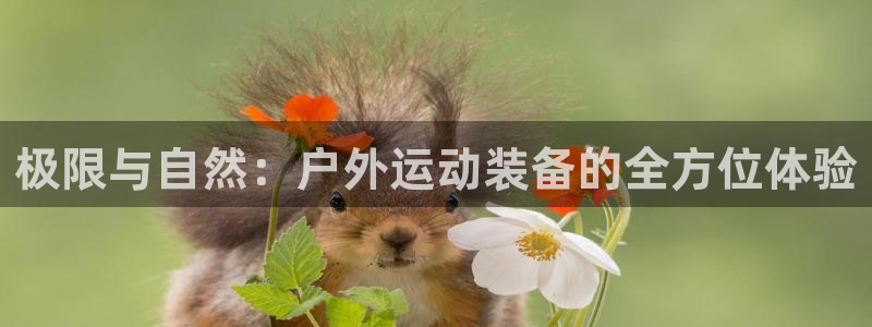 利记足球官网