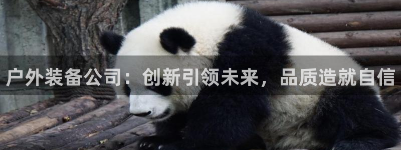 利记科技有限公司官网