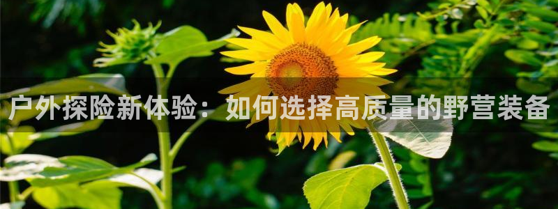 利记手机官网电子mg官方网站