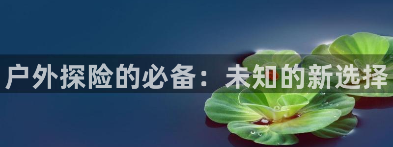 利记坊平台唯一官网