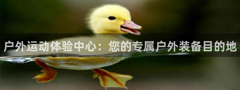 利记官网入口最新版