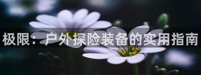 香港利记集团官网旗舰店