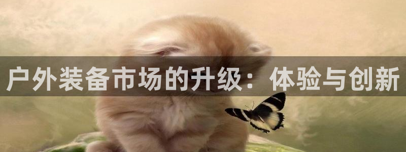 利记官网注册网