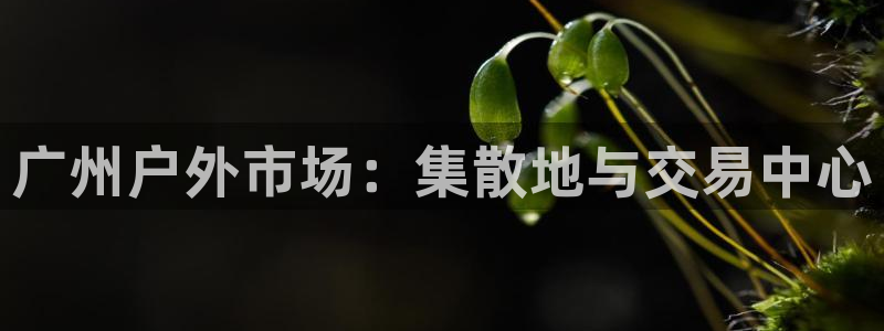 利记体育平台官网