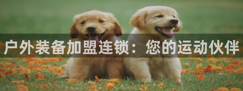 利记官网是多少