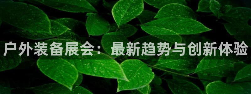 利记二手车行官网
