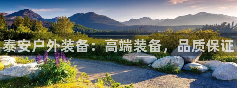 利记官网是真的吗