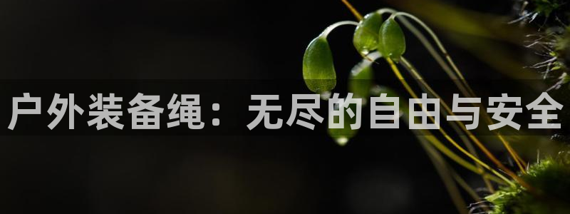 利记sbobet官网电脑版