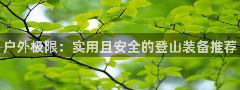 万利记加盟官网电话