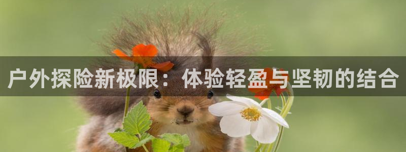 利记娱乐网官网