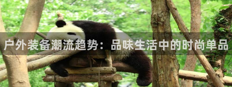 sbo利记体育官网