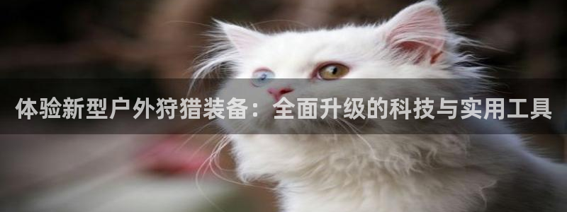 利记官网入口最新版