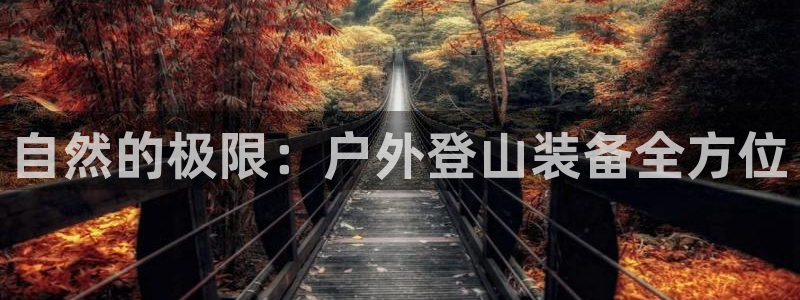 利记坊官网登录