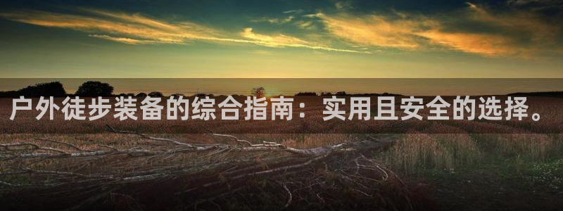 香港利记集团官网招聘