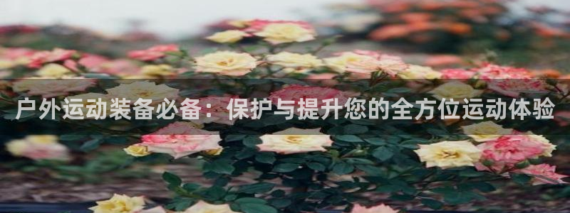 利记厨具官网客服电话