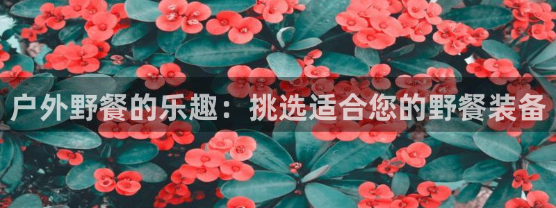 利记彩票导航网址官网hd71