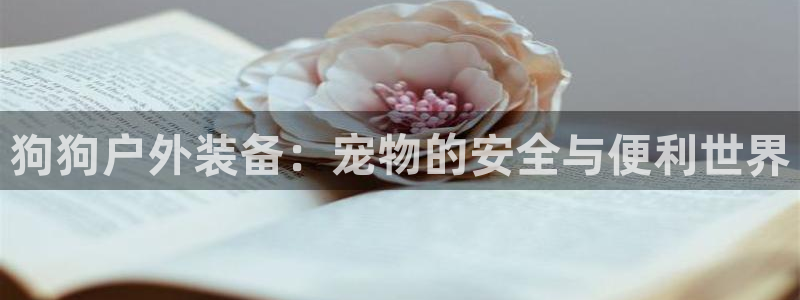 利记广告联盟官网