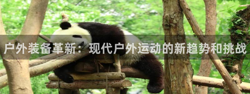 香港利记lee kee集团官网