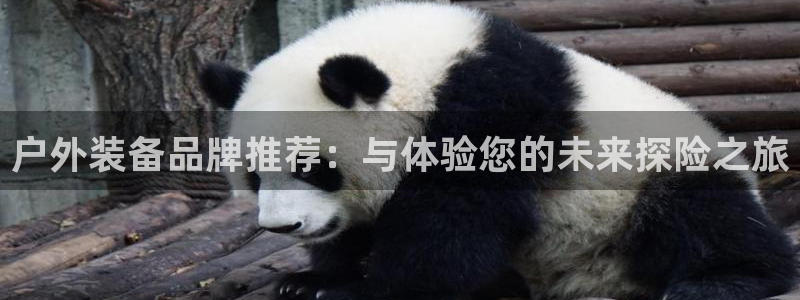 利记官网app下载