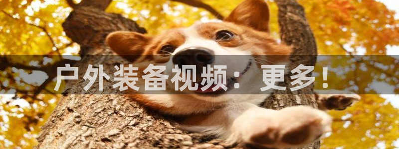 利记二手车行官网